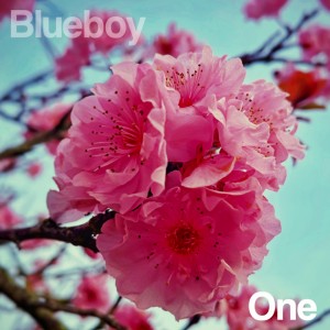 Image of Blueboy - One