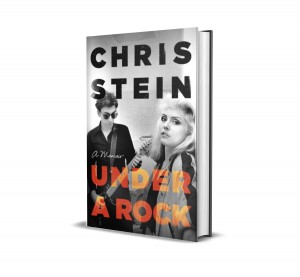 Image of Chris Stein - Under A Rock