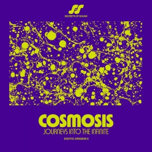 Various Artists - Cosmosis: Journeys Into The Infinite