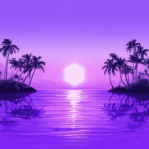 Image of Purple Disco Machine - Paradise
